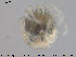  ( - HYDCA11)  @12 [ ] CreativeCommons - Attribution Non-Commercial Share-Alike (2015) NTNU University Museum, Department of Natural History NTNU University Museum, Department of Natural History