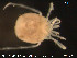  ( - HYDCA76)  @12 [ ] CreativeCommons - Attribution Non-Commercial Share-Alike (2015) NTNU University Museum, Department of Natural History NTNU University Museum, Department of Natural History