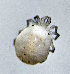  ( - CCDB-48501-C02)  @11 [ ] CreativeCommons - Attribution Share-Alike (2024) Unspecified University of Montenegro, Faculty of Sciences and Mathematics, Department of Biology, Podgorica