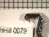  ( - 09Probe-09990)  @12 [ ] CreativeCommons - Attribution Non-Commercial Share-Alike (2010) Unspecified University of Guelph