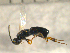  ( - 09Probe-10056)  @13 [ ] CreativeCommons - Attribution Non-Commercial Share-Alike (2010) Unspecified University of Guelph