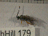  ( - 09Probe-10082)  @13 [ ] CreativeCommons - Attribution Non-Commercial Share-Alike (2010) Unspecified University of Guelph