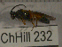  ( - 09Probe-10130)  @13 [ ] CreativeCommons - Attribution Non-Commercial Share-Alike (2010) Unspecified University of Guelph