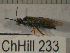  ( - 09Probe-10131)  @13 [ ] CreativeCommons - Attribution Non-Commercial Share-Alike (2010) Unspecified University of Guelph