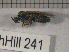  ( - 09Probe-10139)  @13 [ ] CreativeCommons - Attribution Non-Commercial Share-Alike (2010) Unspecified University of Guelph