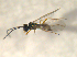 ( - 09Probe-10143)  @13 [ ] CreativeCommons - Attribution Non-Commercial Share-Alike (2010) Unspecified University of Guelph