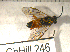  ( - 09Probe-10144)  @13 [ ] CreativeCommons - Attribution Non-Commercial Share-Alike (2010) Unspecified University of Guelph