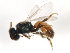  ( - 09BBHYM-485)  @12 [ ] CreativeCommons - Attribution (2009) Unspecified Centre for Biodiversity Genomics