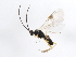  ( - 09BBHYM-771)  @12 [ ] CreativeCommons - Attribution (2009) Unspecified Centre for Biodiversity Genomics
