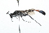  ( - 09BBHYM-156)  @14 [ ] CreativeCommons - Attribution (2009) Unspecified Centre for Biodiversity Genomics