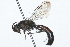  ( - 09BBHYM-180)  @13 [ ] CreativeCommons - Attribution (2009) Unspecified Centre for Biodiversity Genomics