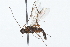  ( - 09BBHYM-189)  @12 [ ] CreativeCommons - Attribution (2009) Unspecified Centre for Biodiversity Genomics