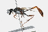  ( - 09BBHYM-210)  @14 [ ] CreativeCommons - Attribution (2009) Unspecified Centre for Biodiversity Genomics