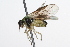  ( - 09BBHYM-343)  @12 [ ] CreativeCommons - Attribution (2009) Unspecified Centre for Biodiversity Genomics