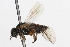  ( - 09BBHYM-366)  @13 [ ] CreativeCommons - Attribution (2009) Unspecified Centre for Biodiversity Genomics