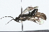  ( - 09BBHYM-391)  @13 [ ] CreativeCommons - Attribution (2009) Unspecified Centre for Biodiversity Genomics