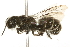  ( - 09BBHYM-1168)  @14 [ ] CreativeCommons - Attribution (2010) Unspecified Centre for Biodiversity Genomics