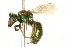  ( - 09BBHYM-1192)  @14 [ ] CreativeCommons - Attribution (2010) Unspecified Centre for Biodiversity Genomics