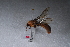  ( - 10TEOSA-0108)  @11 [ ] No Rights Reserved  Olivier Maurin University of Johannesburg