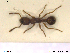  ( - HYMNI132)  @13 [ ] CreativeCommons - Attribution Non-Commercial Share-Alike (2013) Arnstein Staverlokk Norwegian Institute of Nature Research