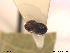  ( - HYMNI191)  @12 [ ] CreativeCommons - Attribution Non-Commercial Share-Alike (2013) Arnstein Staverlokk Norwegian Institute of Nature Research