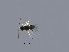  (Cheiloneurus swezeyi - Fe3)  @11 [ ] Unspecified (default): All Rights Reserved  Unspecified Unspecified