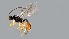  ( - M1_Dc)  @11 [ ] Unspecified (default): All Rights Reserved  Unspecified Unspecified