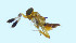  ( - Ma6)  @11 [ ] Unspecified (default): All Rights Reserved  Unspecified Unspecified