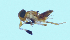  ( - Ma8)  @11 [ ] Unspecified (default): All Rights Reserved  Unspecified Unspecified