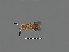  ( - Si3)  @11 [ ] Unspecified (default): All Rights Reserved  Unspecified Unspecified