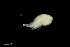  ( - 0051.1)  @11 [ ] Creative Commons BY NC SA (2021) University of Bergen Natural History Collections