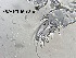  ( - 0069.1)  @11 [ ] Creative Commons BY NC SA (2022) University of Bergen Natural History Collections