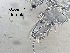  ( - 0069.1)  @11 [ ] Creative Commons BY NC SA (2022) University of Bergen Natural History Collections