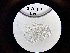  ( - 0075.1)  @11 [ ] Creative Commons BY NC SA (2022) University of Bergen Natural History Collections