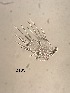  ( - 0103.1)  @11 [ ] Creative Commons BY NC SA (2022) University of Bergen Natural History Collections