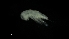  ( - 0154.1)  @11 [ ] Creative Commons BY NC SA (2020) University of Bergen Natural History Collections