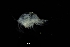  ( - 0296.1)  @11 [ ] Creative Commons BY NC SA (2022) University of Bergen Natural History Collections