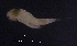  ( - 0502.1)  @11 [ ] Creative Commons BY NC SA (2022) University of Bergen Natural History Collections