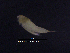  ( - 0505.1)  @11 [ ] Creative Commons BY NC SA (2022) University of Bergen Natural History Collections