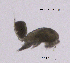  ( - 0541.1)  @11 [ ] Creative Commons BY NC SA (2022) University of Bergen Natural History Collections