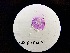  ( - 0762.1)  @11 [ ] Creative Commons BY NC SA (2022) University of Bergen Natural History Collections