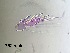  ( - 0762.1)  @11 [ ] Creative Commons BY NC SA (2022) University of Bergen Natural History Collections