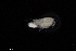  ( - 0772.1)  @11 [ ] Creative Commons BY NC SA (2021) University of Bergen Natural History Collections