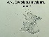  ( - 0772.1)  @11 [ ] Creative Commons BY NC SA (2022) University of Bergen Natural History Collections