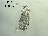  ( - 0772.1)  @11 [ ] Creative Commons BY NC SA (2022) University of Bergen Natural History Collections
