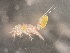  ( - 0838B.1)  @11 [ ] Creative Commons BY NC SA (2020) University of Bergen Natural History Collections