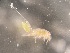  ( - 0840B.1)  @11 [ ] Creative Commons BY NC SA (2023) University of Bergen Natural History Collections