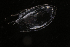  ( - HYPNO_012)  @11 [ ] CreativeCommons - Attribution Non-Commercial Share-Alike (2015) Aino Hosia University Museum of Bergen, Natural History Collections