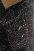  ( - HYPNO_380)  @11 [ ] CreativeCommons - Attribution Non-Commercial Share-Alike (2016) Aino Hosia University Museum of Bergen, Natural History Collections