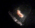  ( - HYPNO_738)  @11 [ ] CreativeCommons - Attribution Non-Commercial Share-Alike (2016) Sanna Majaneva University Museum of Bergen, Natural History Collections